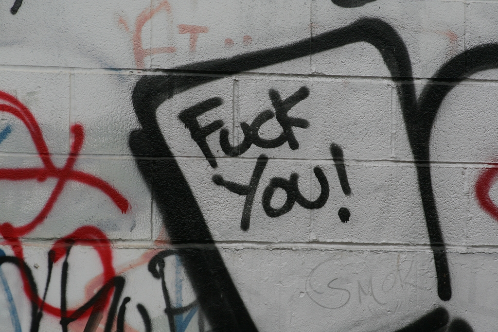 Figura 2. “Insults!”. Foto di Mauricio Balvanera, distribuita con licenza Creative Commons. http://www.flickr.com/photos/maubrowncow/