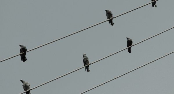 Reunion from Caliopedreams via Flickr (https://www.flickr.com/photos/caliope/10727523056/in/photolist-hkXmS5-bn2rJ4-PHjbe-hV6qgq-em7uNs-9se7dE-HmSi11-k2tpe8-edZTft-pKsDDm-Y6Wra8-dYYvZk-nxJF8G-ekc14G-raW9fy-9XwPV4-pTQs8h-vbxgT5-fGqPEY-qvV3QF-7aZGrA-7ZF1Ye-kA6zhi-aF8w4a-dUTWMy-ho7s7T-jB4Dt2-e1AuBC-fh7LX6-aaMCRC-hGxMBN-8iSkmv-bCnM6F-kuudmc-btJMw8-af8PUY-j7YJ41-7RXbsR-g3QM5g-qHrp2U-dNDNRU-9WV4AP-dYSNiN-aF8wM8-aeVih7-8UFvCw-n36aY2-aiLTMJ-eZNUKR-pEen8A), cc (https://creativecommons.org/licenses/by/2.0/)